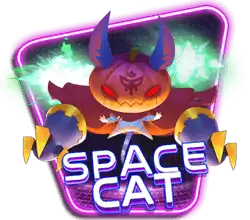 Space Cat