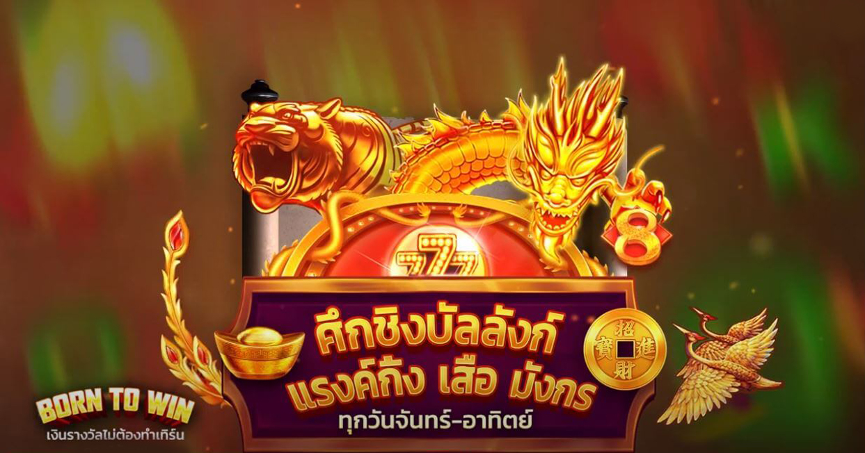 sabai99 born to win